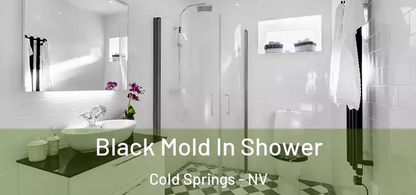  Black Mold In Shower Cold Springs - NV