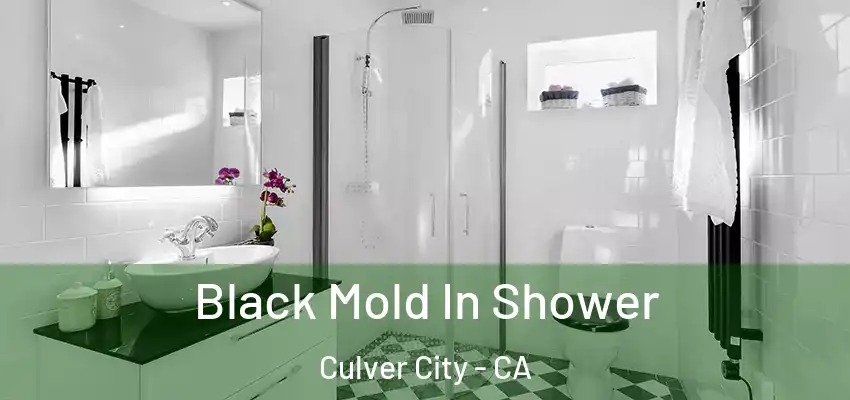  Black Mold In Shower Culver City - CA