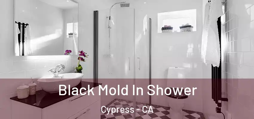 Black Mold In Shower Cypress - CA