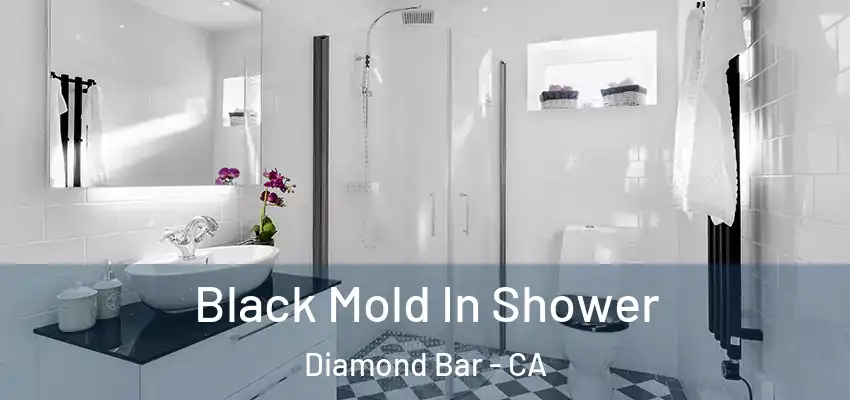  Black Mold In Shower Diamond Bar - CA