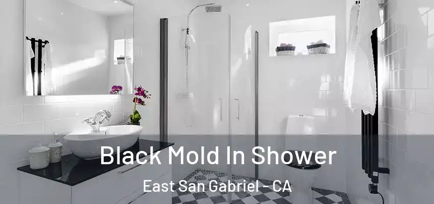 Black Mold In Shower East San Gabriel - CA