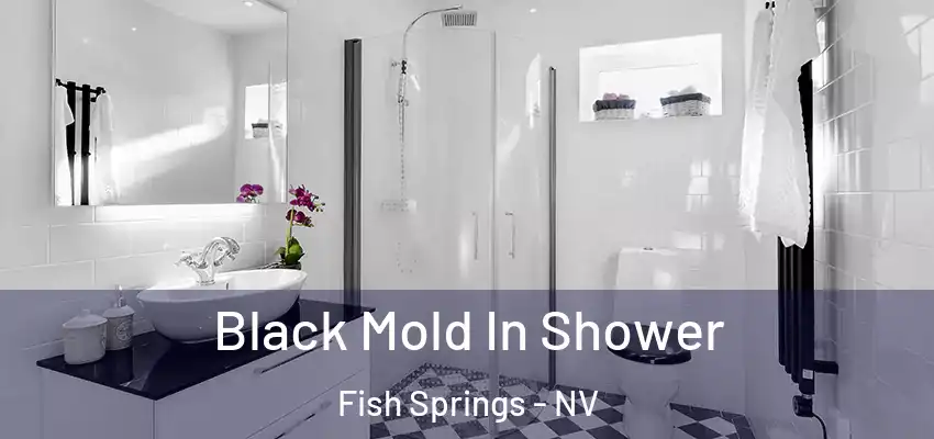  Black Mold In Shower Fish Springs - NV