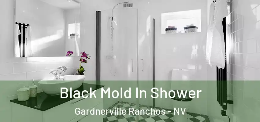 Black Mold In Shower Gardnerville Ranchos - NV