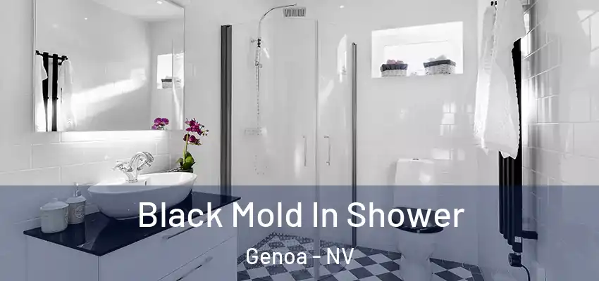  Black Mold In Shower Genoa - NV