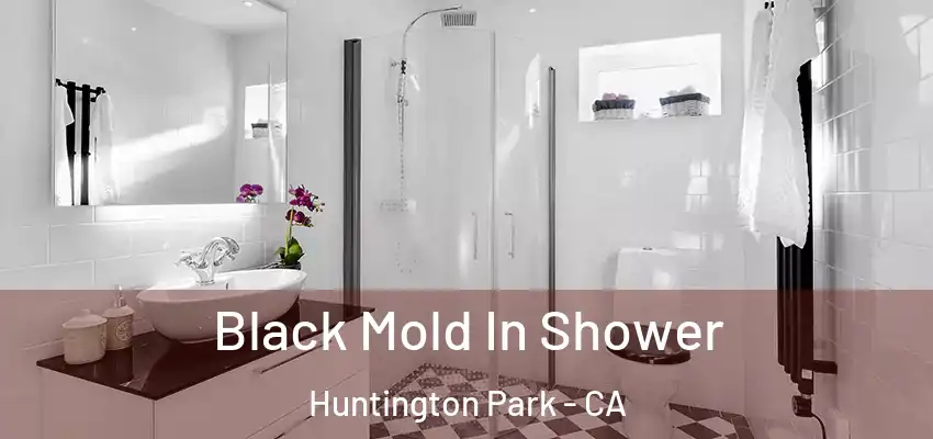 Black Mold In Shower Huntington Park - CA