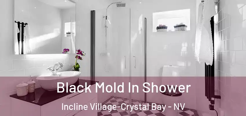 Black Mold In Shower Incline Village-Crystal Bay - NV