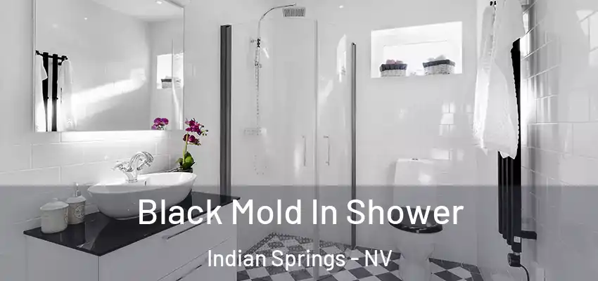Black Mold In Shower Indian Springs - NV