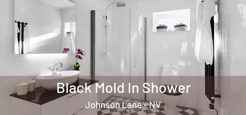  Black Mold In Shower Johnson Lane - NV