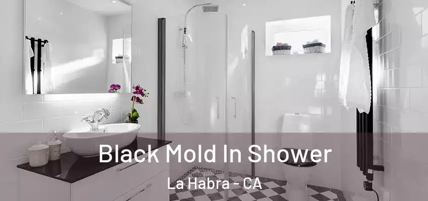 Black Mold In Shower La Habra - CA