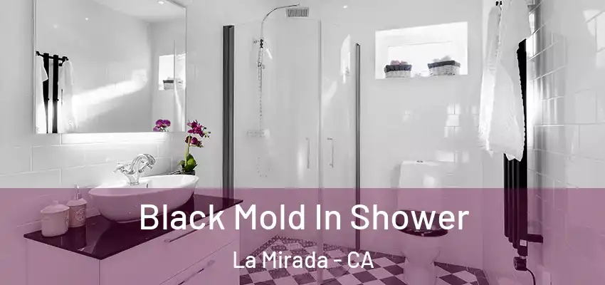  Black Mold In Shower La Mirada - CA