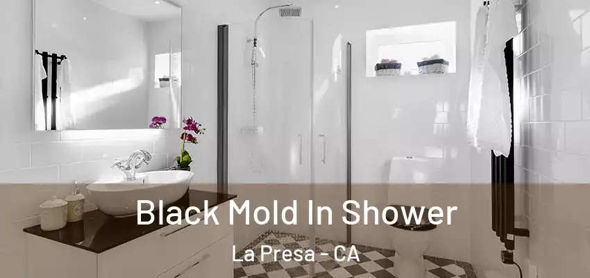  Black Mold In Shower La Presa - CA