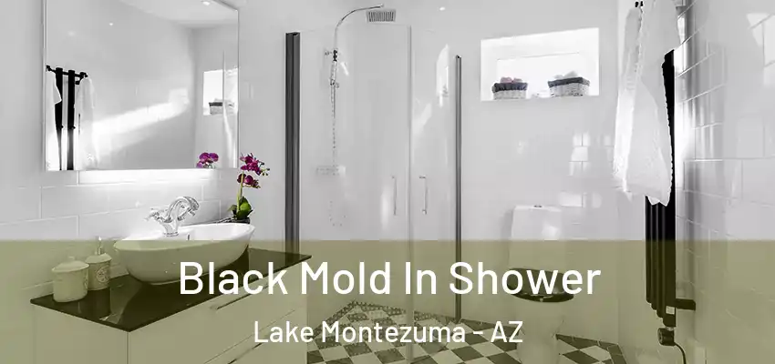  Black Mold In Shower Lake Montezuma - AZ