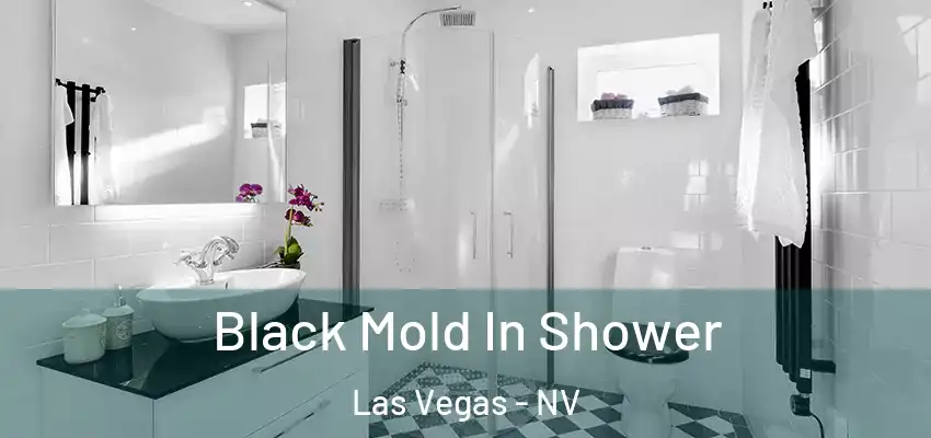  Black Mold In Shower Las Vegas - NV