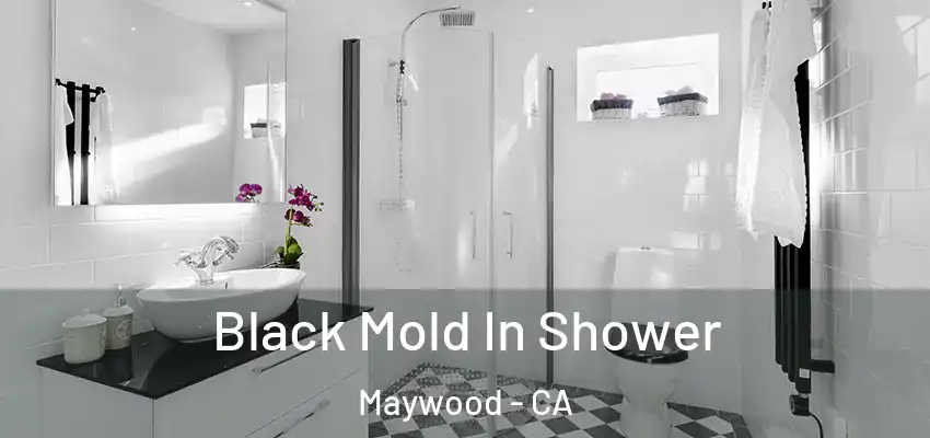  Black Mold In Shower Maywood - CA