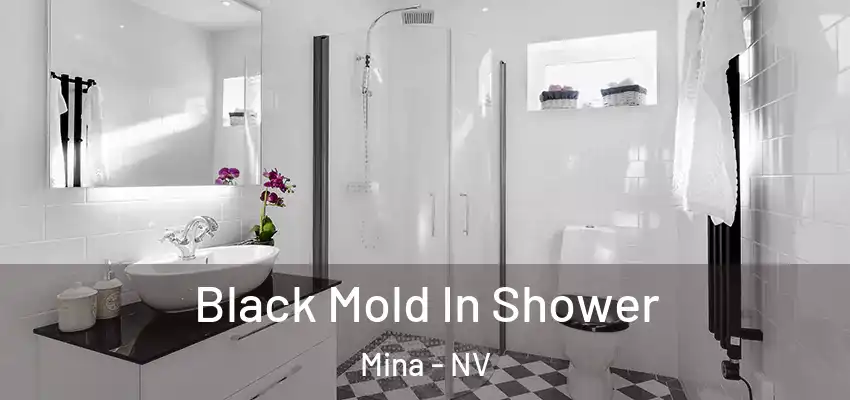  Black Mold In Shower Mina - NV