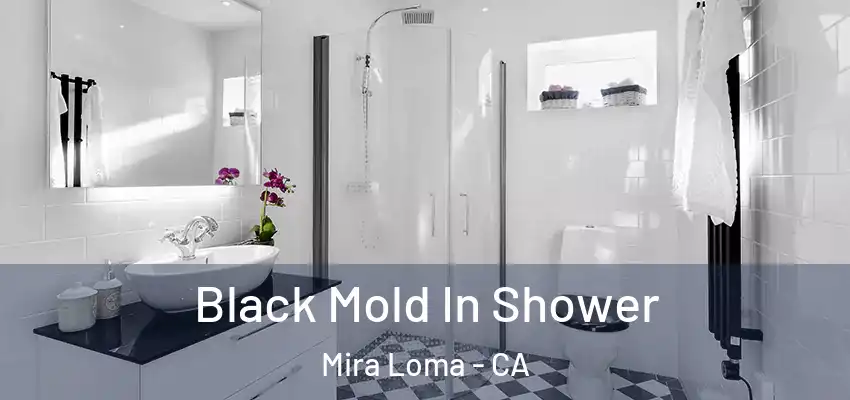 Black Mold In Shower Mira Loma - CA