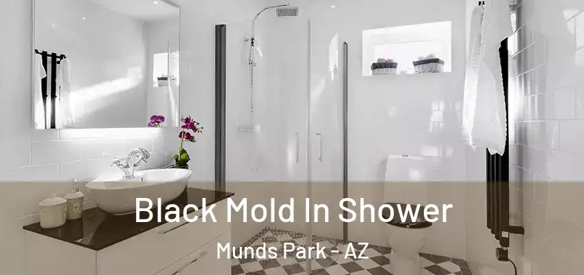  Black Mold In Shower Munds Park - AZ