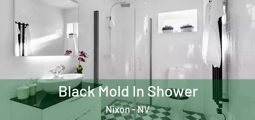 Black Mold In Shower Nixon - NV