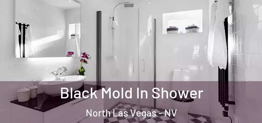Black Mold In Shower North Las Vegas - NV