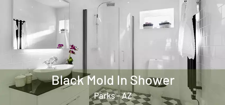  Black Mold In Shower Parks - AZ