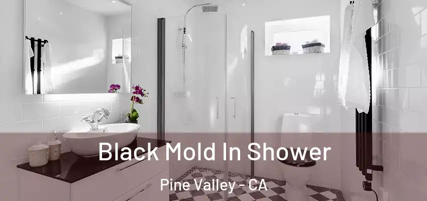 Black Mold In Shower Pine Valley - CA