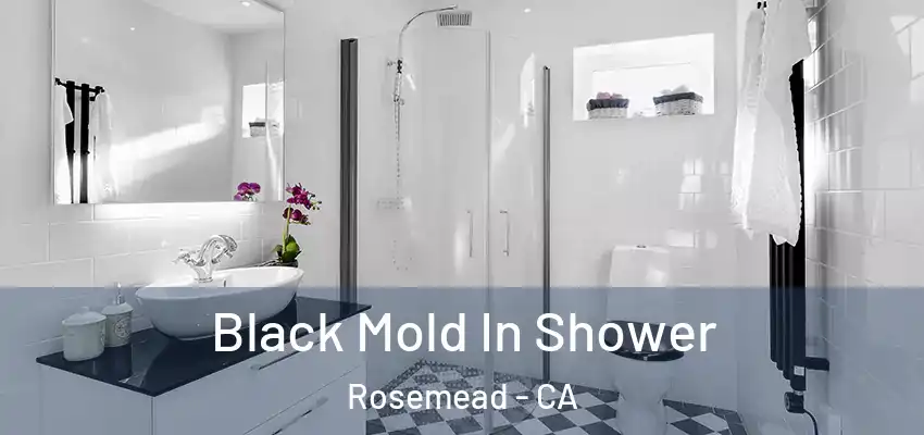  Black Mold In Shower Rosemead - CA