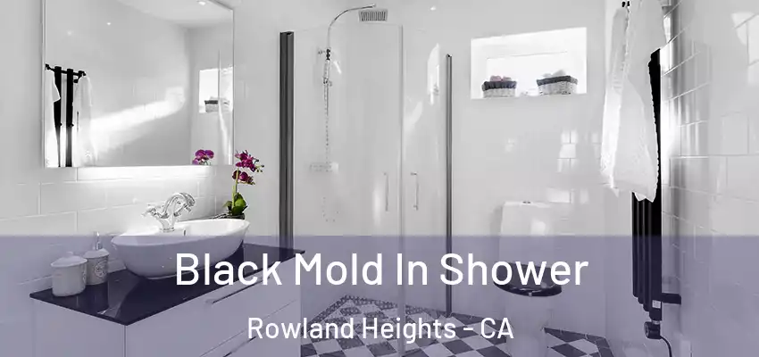  Black Mold In Shower Rowland Heights - CA