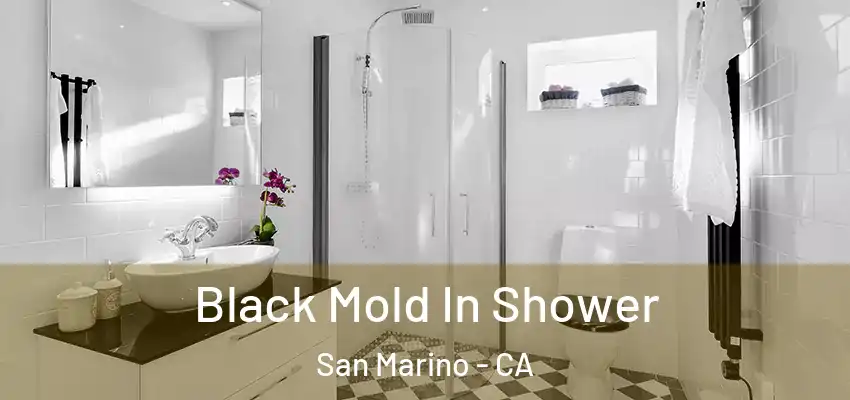 Black Mold In Shower San Marino - CA
