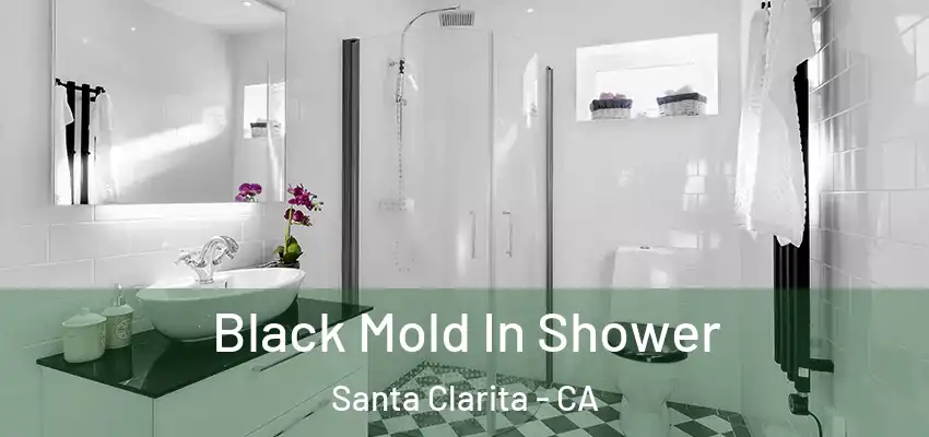 Black Mold In Shower Santa Clarita - CA