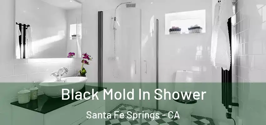 Black Mold In Shower Santa Fe Springs - CA