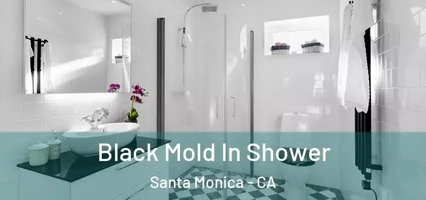Black Mold In Shower Santa Monica - CA