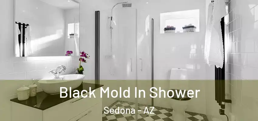  Black Mold In Shower Sedona - AZ