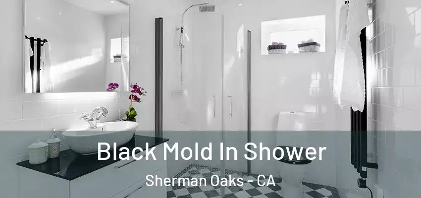  Black Mold In Shower Sherman Oaks - CA