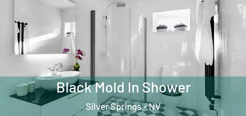  Black Mold In Shower Silver Springs - NV
