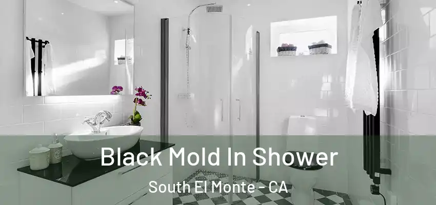 Black Mold In Shower South El Monte - CA