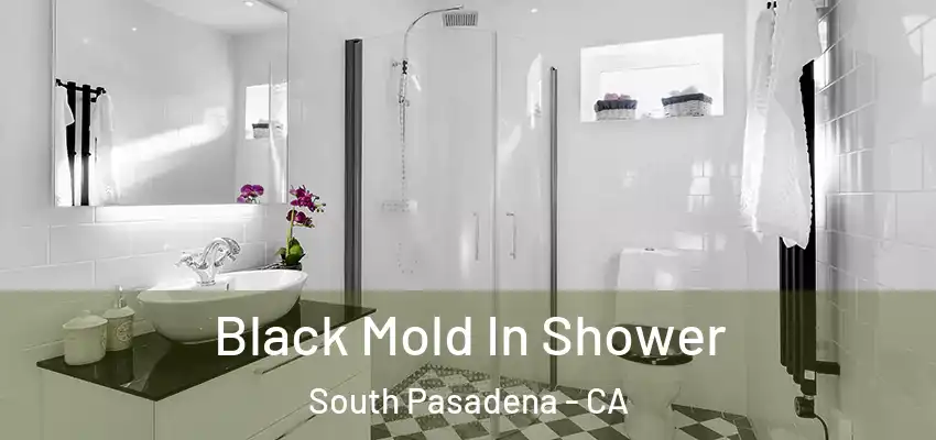  Black Mold In Shower South Pasadena - CA