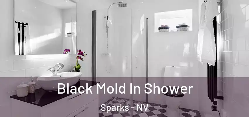  Black Mold In Shower Sparks - NV