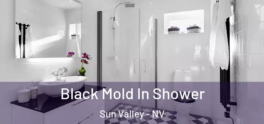  Black Mold In Shower Sun Valley - NV