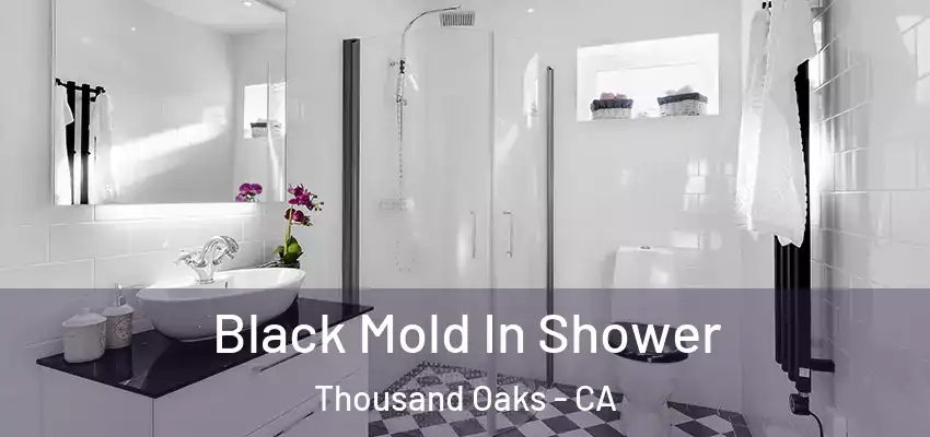  Black Mold In Shower Thousand Oaks - CA