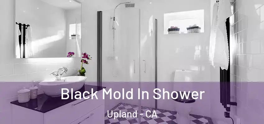  Black Mold In Shower Upland - CA