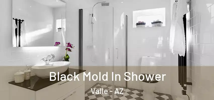  Black Mold In Shower Valle - AZ