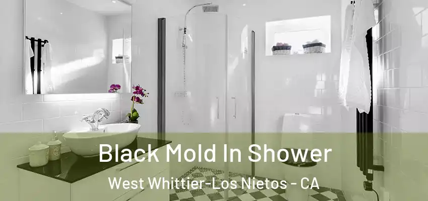 Black Mold In Shower West Whittier-Los Nietos - CA