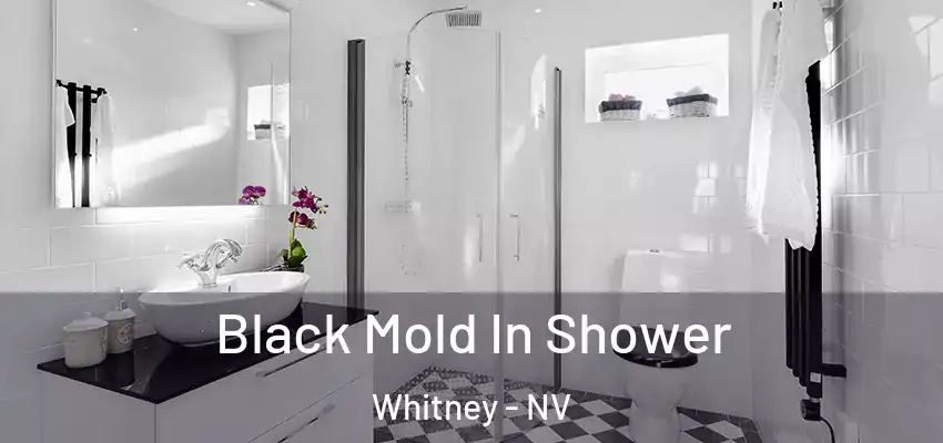  Black Mold In Shower Whitney - NV