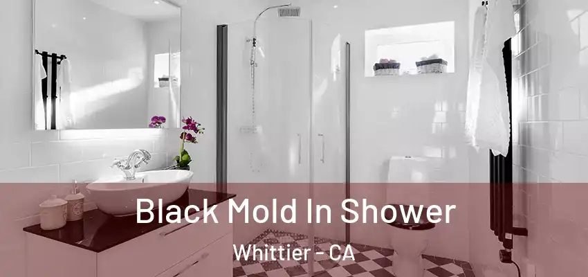  Black Mold In Shower Whittier - CA
