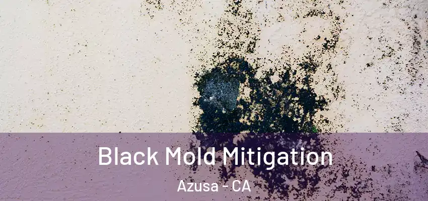  Black Mold Mitigation Azusa - CA
