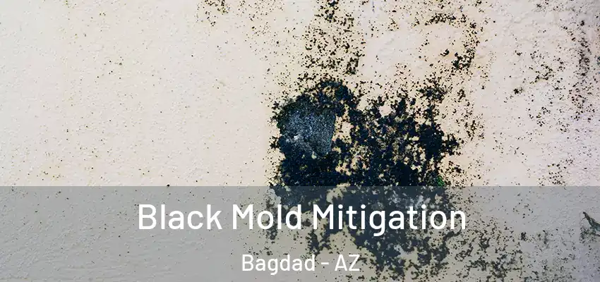  Black Mold Mitigation Bagdad - AZ