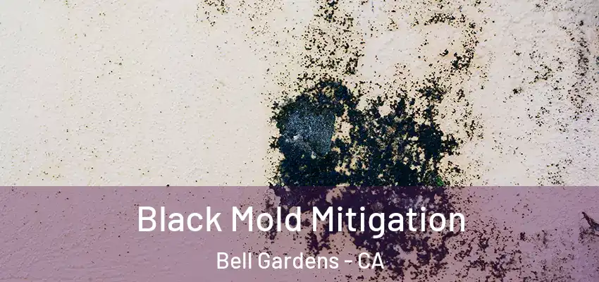 Black Mold Mitigation Bell Gardens - CA