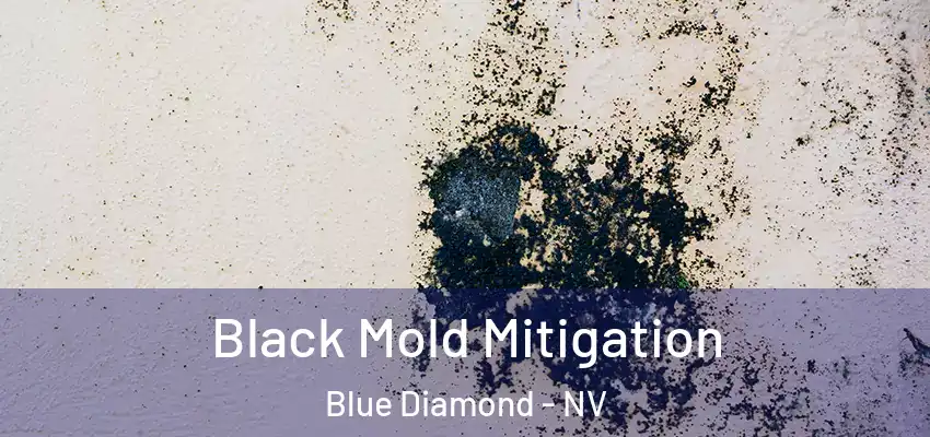 Black Mold Mitigation Blue Diamond - NV