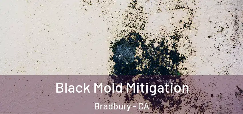  Black Mold Mitigation Bradbury - CA