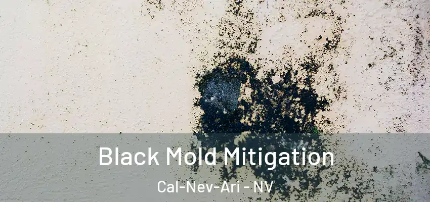 Black Mold Mitigation Cal-Nev-Ari - NV